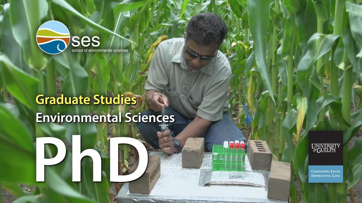 environmental science phd programs in usa